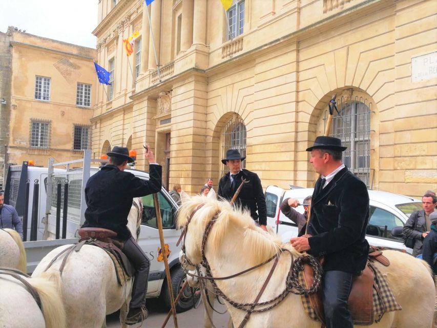 Marseille: The Camargue 8-Hour Guided Outing - Key points at a glance