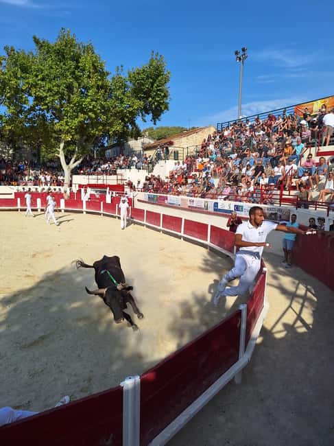 Marseille: The Camargue 8-Hour Guided Outing - What the $1,112 private price really buys