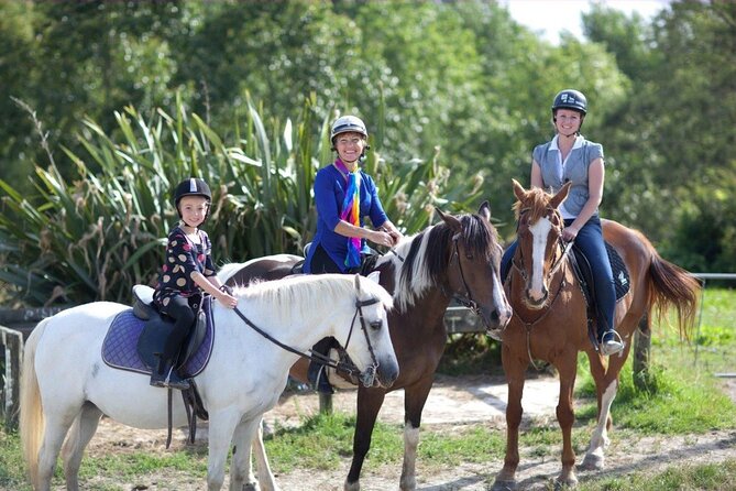 Matakana Art & Horse Riding Experience Private Tour From Auckland - Key points at a glance