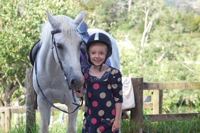 Matakana Art & Horse Riding Experience Private Tour From Auckland - A full day beyond Auckland