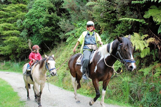 Matakana Art & Horse Riding Experience Private Tour From Auckland - Chocolate Brown and the pleasures of a short stop