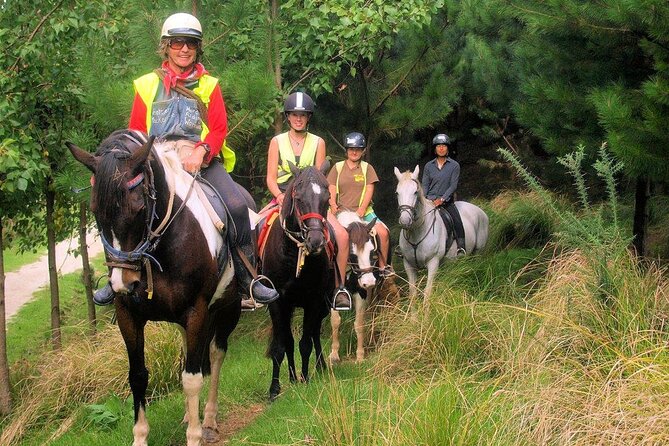 Matakana Art & Horse Riding Experience Private Tour From Auckland - Lunch, wine, and a final scoop