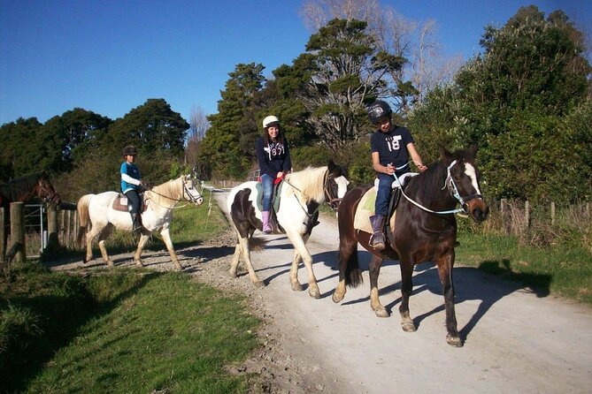 Matakana Art & Horse Riding Experience Private Tour From Auckland - Small practical details that matter