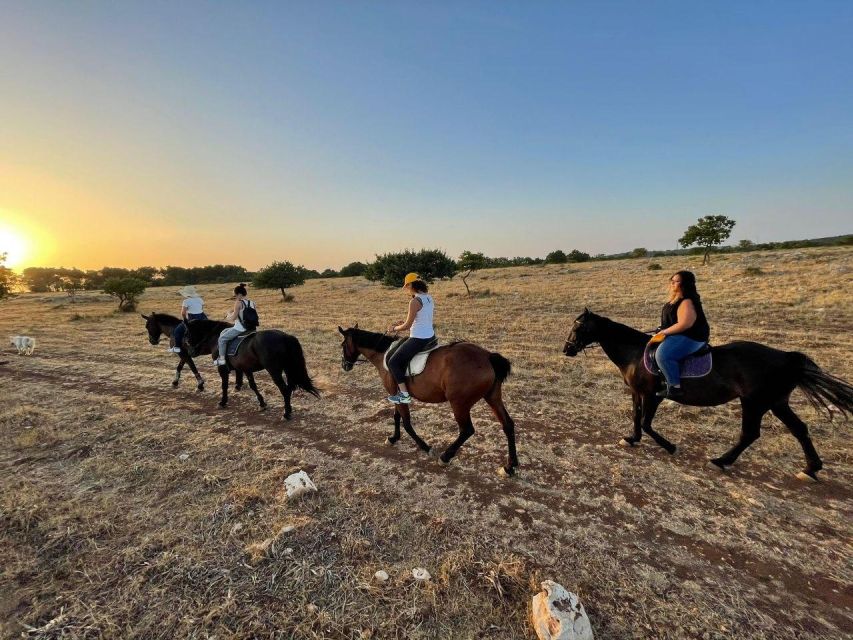 Matera: sunset horseback riding tour on Murgia - Learning the basics before setting off