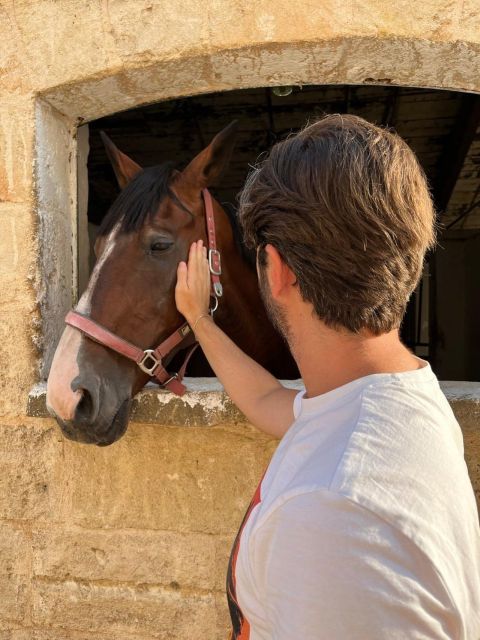 Matera: sunset horseback riding tour on Murgia - Watching the sun lower over the plateau