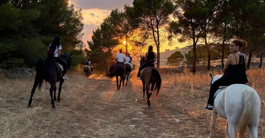 Matera: sunset horseback riding tour on Murgia - Why the horses matter as much as the view