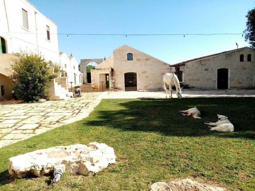 Matera: sunset horseback riding tour on Murgia - Who should book this ride?