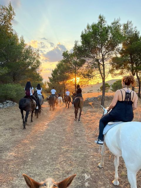 Matera: sunset horseback riding tour on Murgia - Meeting your horse at Masseria Morsara