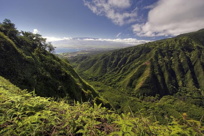 Maui Horseback Adventure at Circle M Ranch With Real Cowboys - Key points before you saddle up