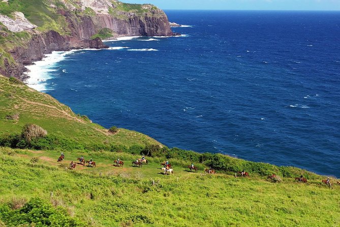 Maui Horseback Adventure at Circle M Ranch With Real Cowboys - A working ranch above Maui’s north shore