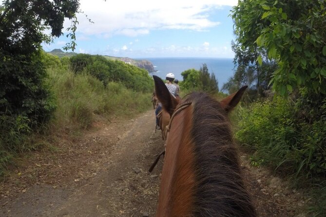 Maui Horseback Adventure at Circle M Ranch With Real Cowboys - The climb back through Maui country