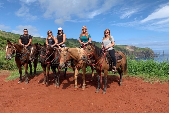 Maui Horseback Adventure at Circle M Ranch With Real Cowboys - What the ride really means by canter