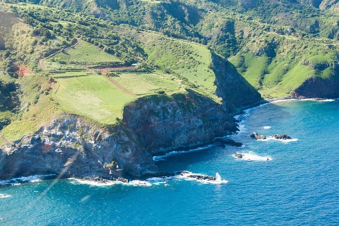 Maui Horseback Adventure at Circle M Ranch With Real Cowboys - Morning or afternoon?