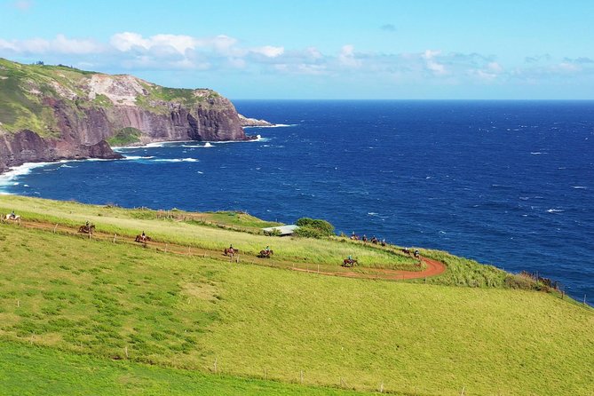 Maui Horseback Adventure at Circle M Ranch With Real Cowboys - The first 45 minutes: horses, safety, and nerves