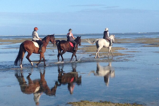 Mauritius Horse Riding at Riambel - Practical planning for your meeting and booking
