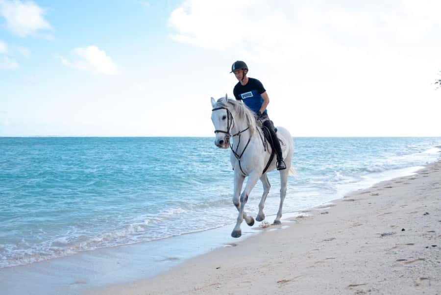 Mauritius: Horse riding on the deserted beach of Riambel - Key points to know before riding