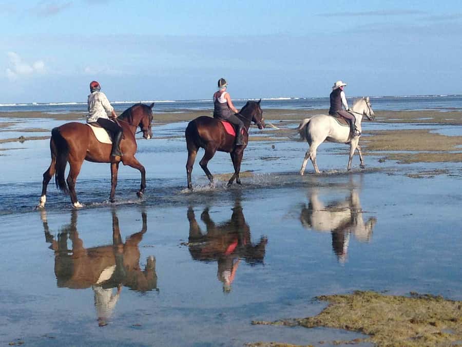 Mauritius: Horse riding on the deserted beach of Riambel - Riambel beach without the usual resort crowds