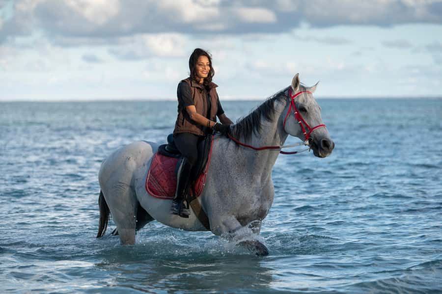 Mauritius: Horse riding on the deserted beach of Riambel - Choosing a horse and finding your pace