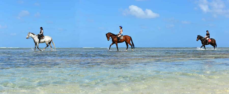 Mauritius: Horse riding on the deserted beach of Riambel - Who will enjoy this ride most