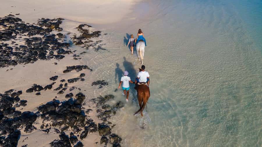 Mauritius: Horseback riding on the beach - The Value of the $110 Price