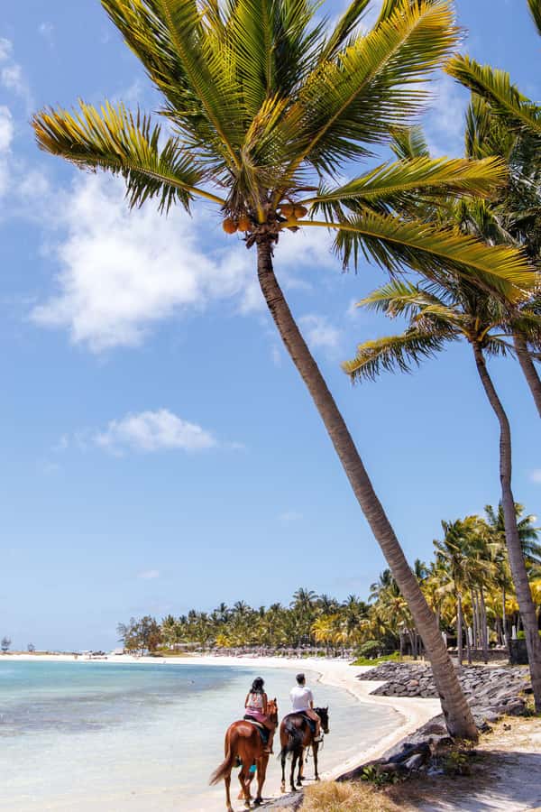 Mauritius: Horseback riding on the beach - FAQ