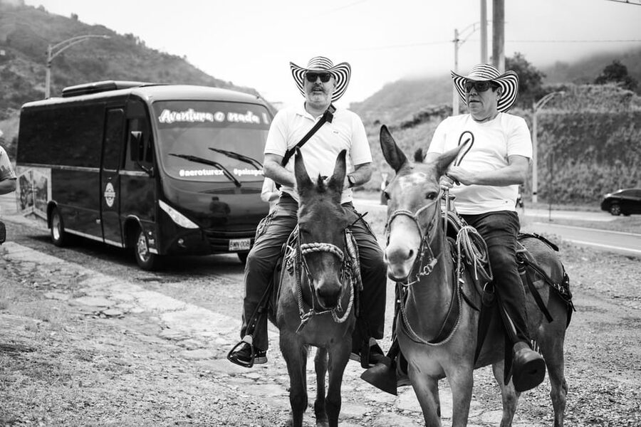 Medellin: Coffee Tour, Horseback Arrival, and Sugar Cane - Who should book this farm visit?