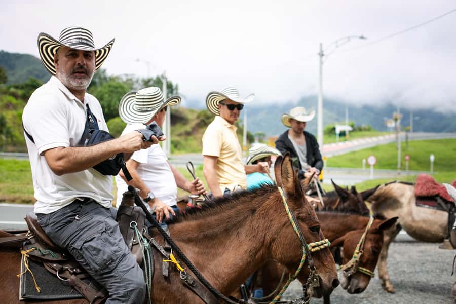 Medellin: Coffee Tour, Horseback Arrival, and Sugar Cane - Leaving El Poblado for the coffee hills