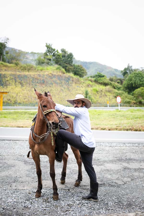 Medellin: Coffee Tour, Horseback Arrival, and Sugar Cane - From coffee seed to your cup