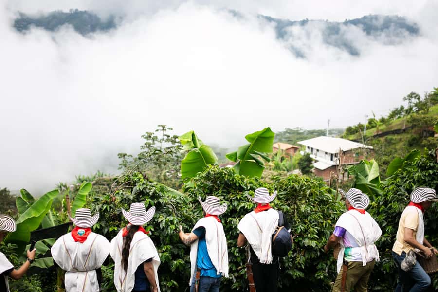 Medellin: Coffee Tour, Horseback Arrival, and Sugar Cane - Sugar cane and the taste of panela