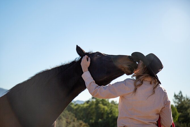 Medellin: Horseback Riding Adventure In Nature (Don't Overpay) - Leaving El Poblado for the countryside