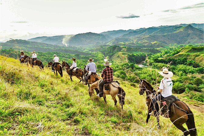 Medellin: Horseback Riding Adventure In Nature (Don't Overpay) - Meeting the horses at the farm