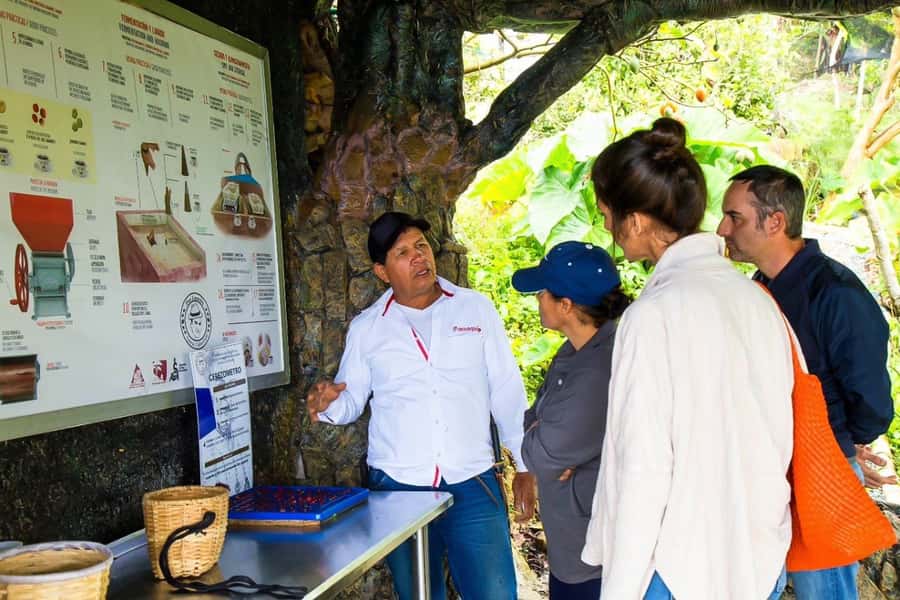 Medellin: Horseback Riding Coffee Farm Tour with Coffee Spa - Should you book the Don Leandro experience?