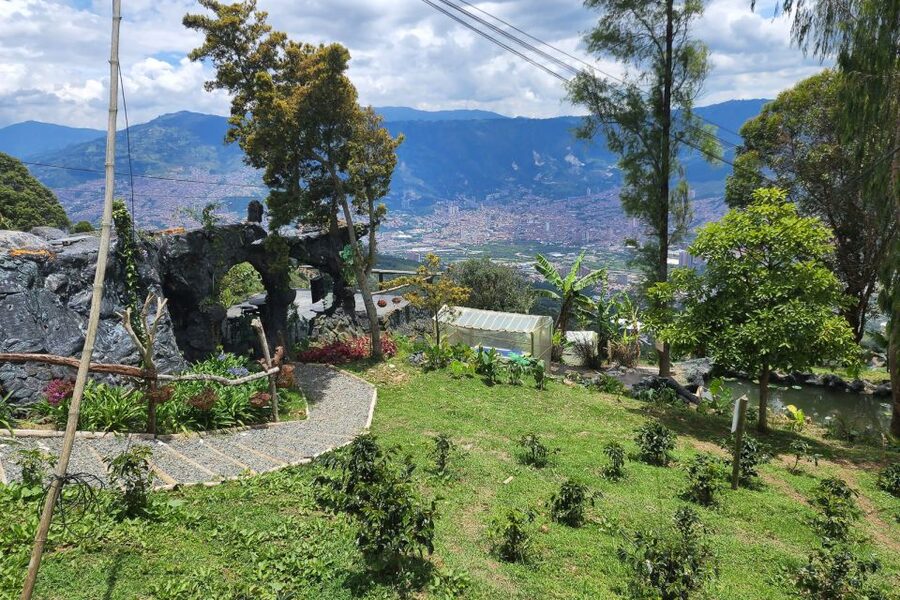 Medellin: Horseback Riding Coffee Farm Tour with Coffee Spa - Seeing coffee from cherry to cup