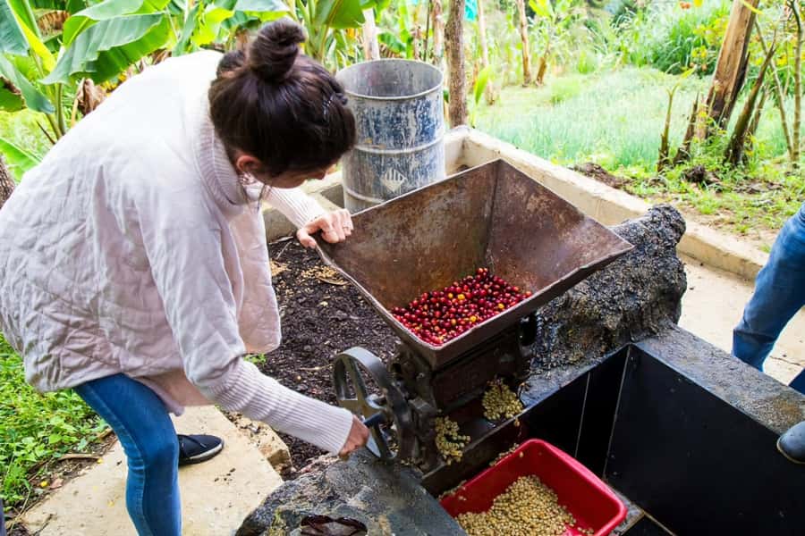 Medellin: Horseback Riding Coffee Farm Tour with Coffee Spa - Practical preparation for the day