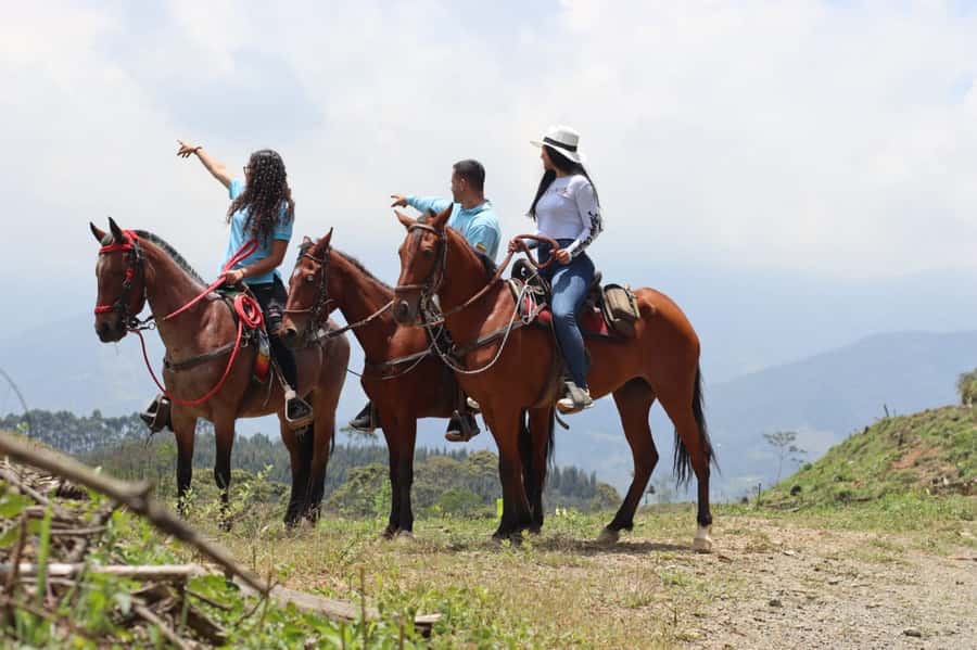 Medellin: Horseback Riding in the Medellin Mountains - What the ride says about Antioquia’s arriero culture