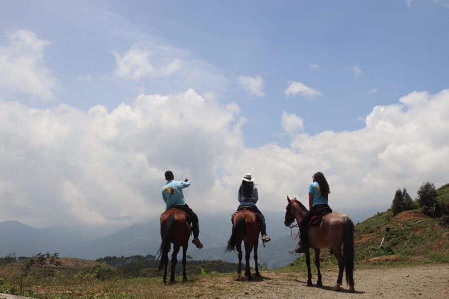 Medellin: Horseback Riding in the Medellin Mountains - Is $70 a fair price?