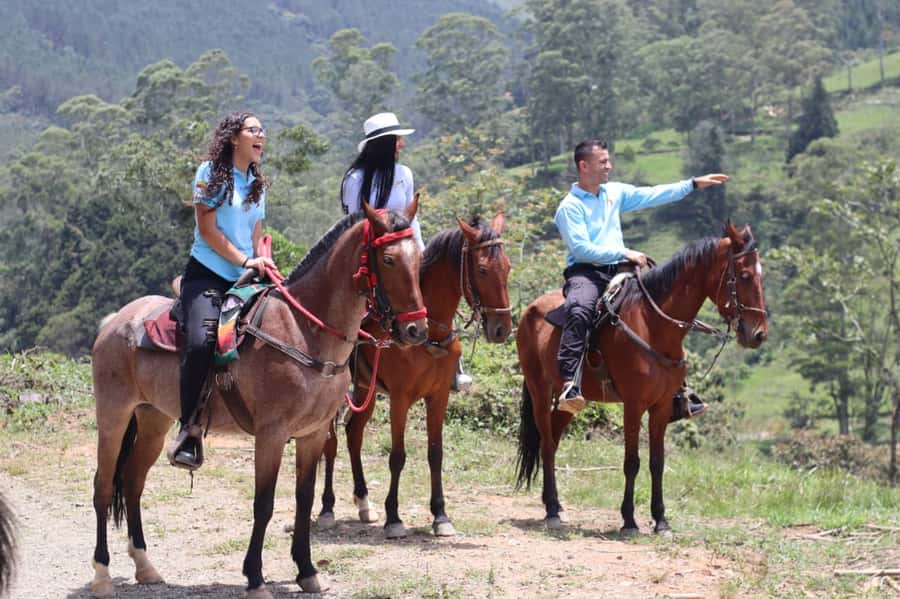 Medellin: Horseback Riding in the Medellin Mountains - Who should book this horseback ride?