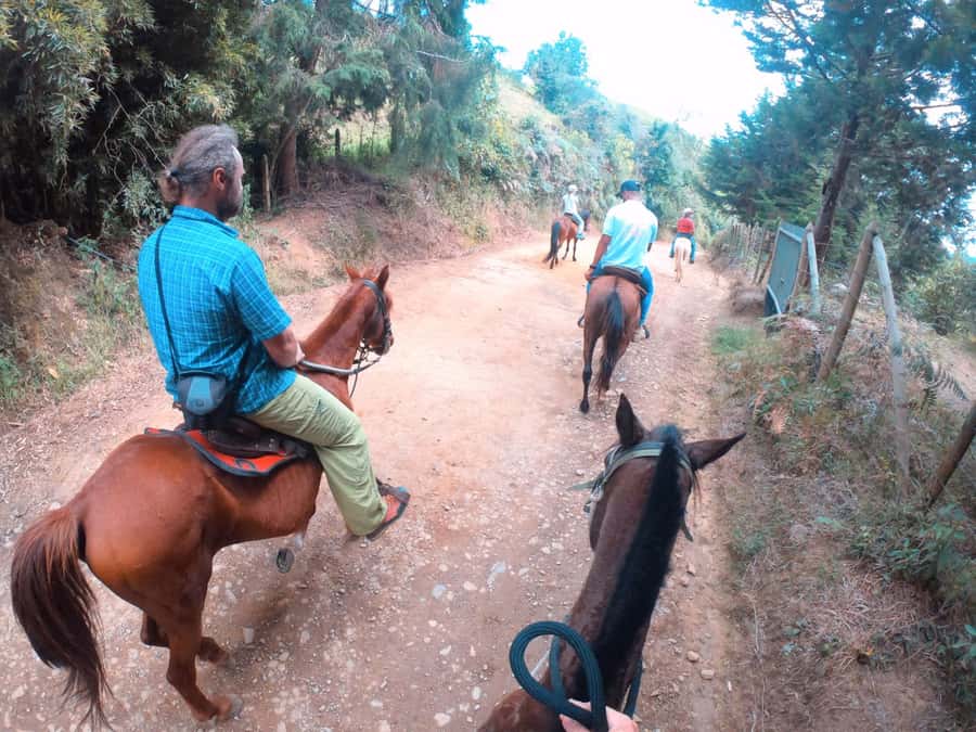 Medellin: Horseback Riding in the Medellin Mountains - Meeting the horses and learning the basics