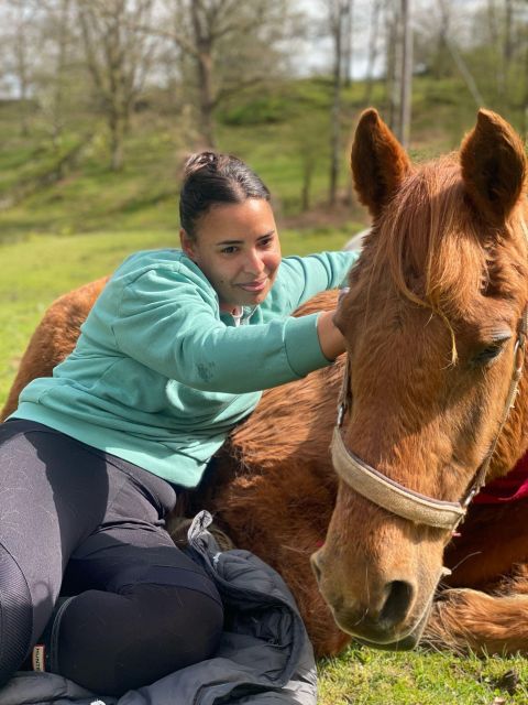 Meditate With Horses - Meeting Rescue Horses at Holmeshead Farm