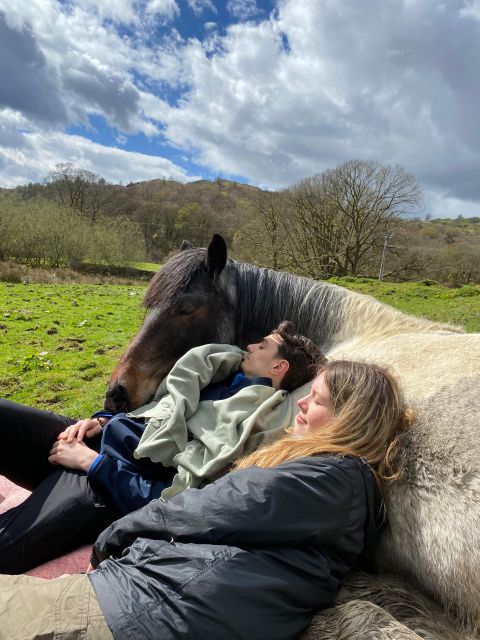 Meditate With Horses - Should You Book Meditate With Horses?