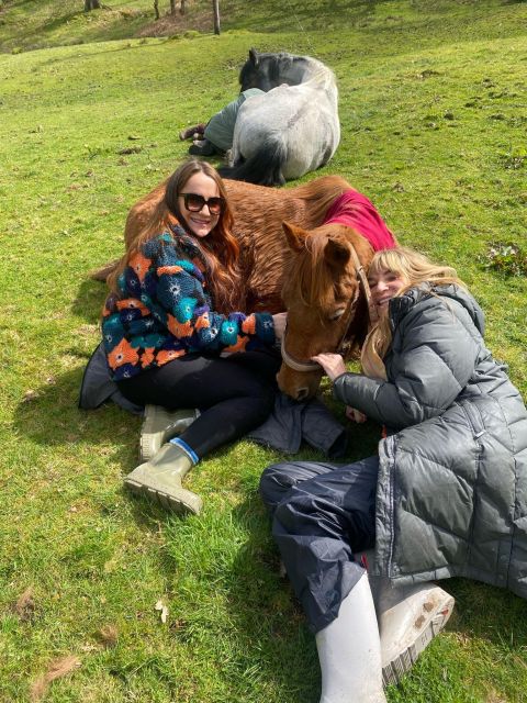 Meditate With Horses - The Safety Talk and First Look at the Herd