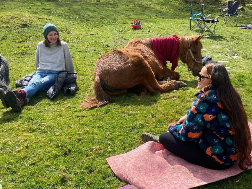 Meditate With Horses - Guided Meditation Beside a Living Animal