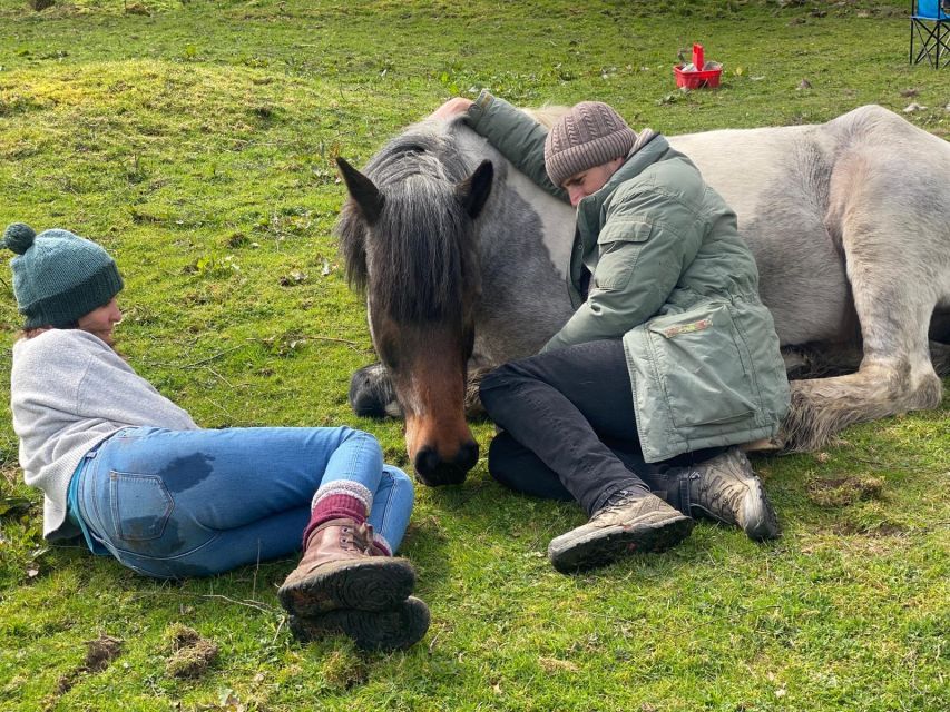 Meditate With Horses - The Longer Second Workshop