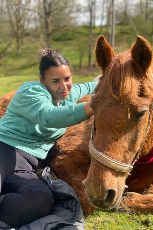 Meditate With Horses - What the Horse Connection Really Adds