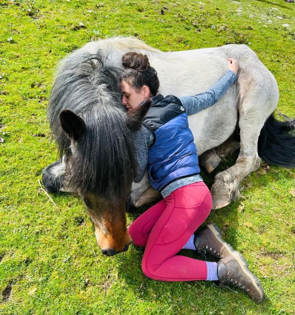 Meditate With Horses - Who Will Enjoy This, and Who May Not