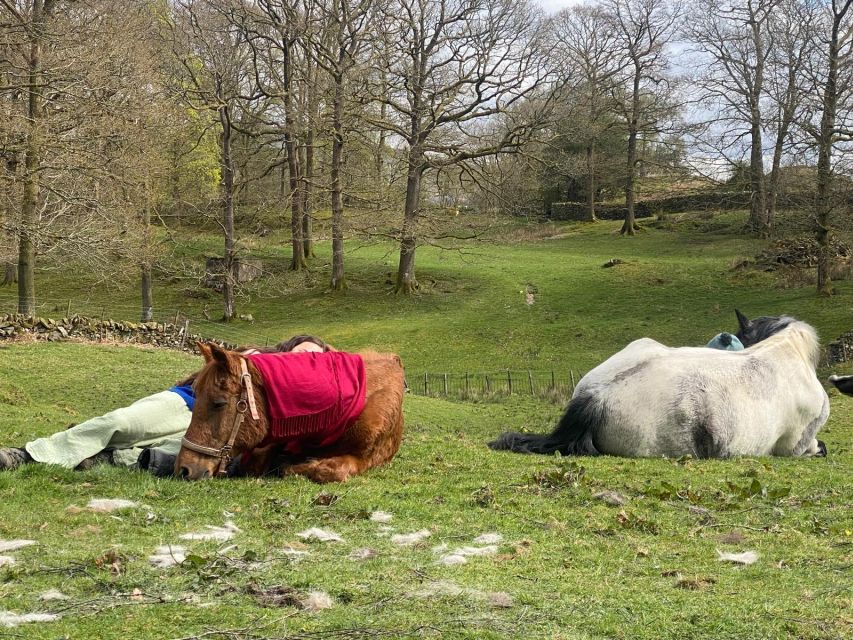 Meditate With Horses - Clothing, Timing, and Small Practical Details