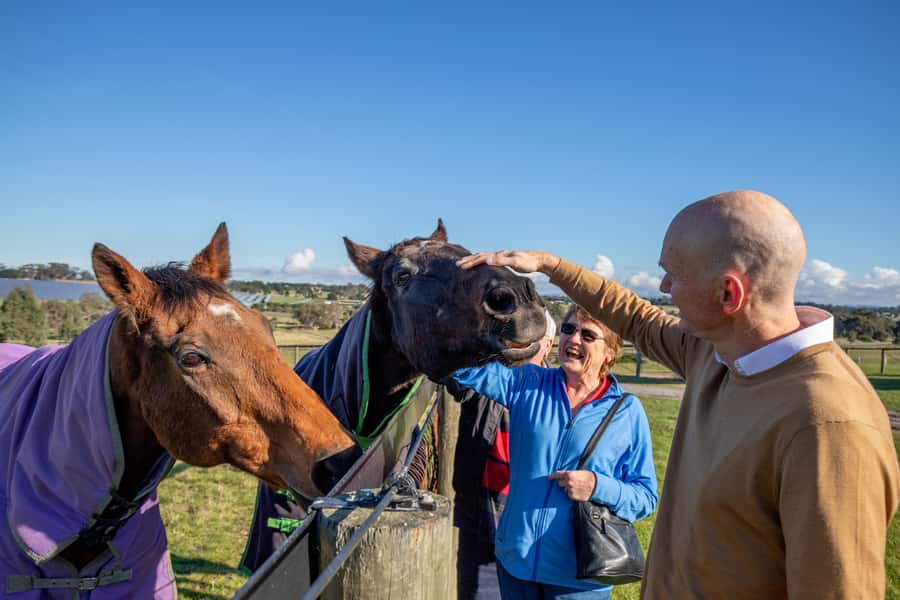 Melbourne: Full-Day Horses, Wine, and Beer Tour - Why This Melbourne Day Trip Feels Different