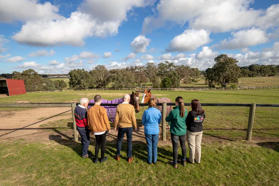 Melbourne: Full-Day Horses, Wine, and Beer Tour - Morning Tea and Champion Horses at Living Legends
