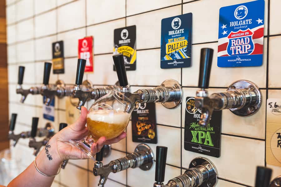 Melbourne: Full-Day Horses, Wine, and Beer Tour - What the Eight-Hour Schedule Means for You