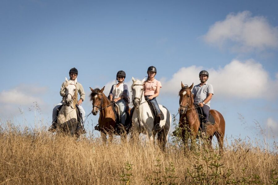 Melides: Horse Riding on the Beach with Wine Tasting - From Lisbon to the Melides coast